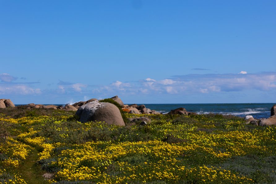 A First-Timer’s Guide to Jacobsbaai
