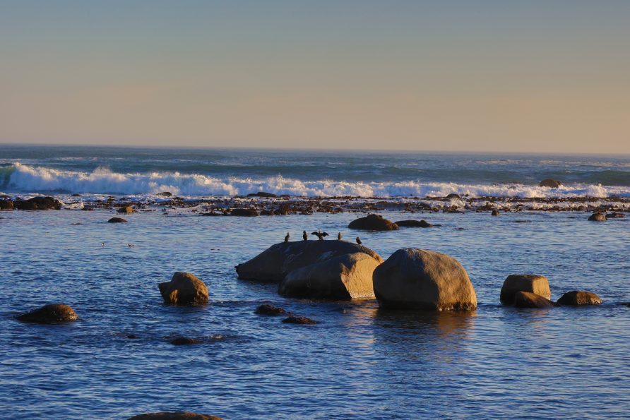 5 Things to Do in Jacobsbaai (Beyond the Beach)