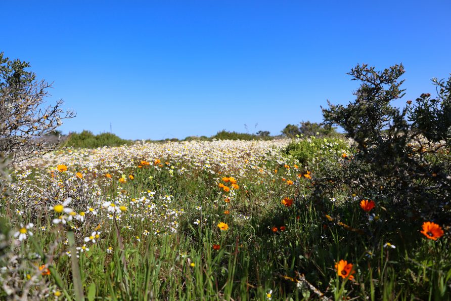 The Best Time of Year to Visit the West Coast